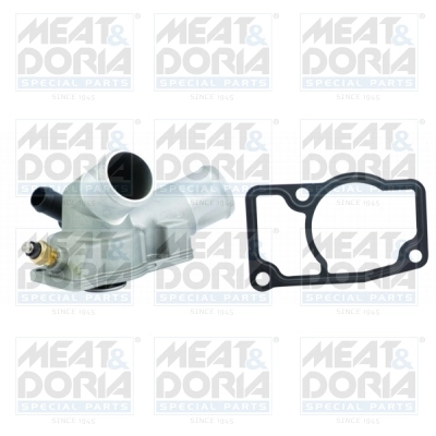 Thermostat, coolant